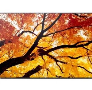 Sharp Monitor MultiSync M322 32 cale 24/7