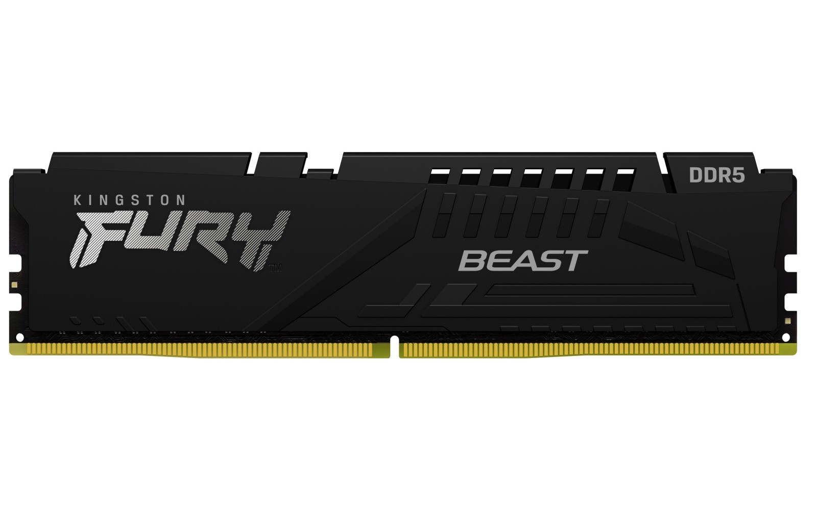 Kingston Pamięć DDR5 Fury Beast 16GB(1*16GB)/5600 CL36 EXPO czarna